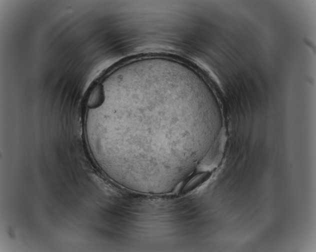 X0000096950973200803071024