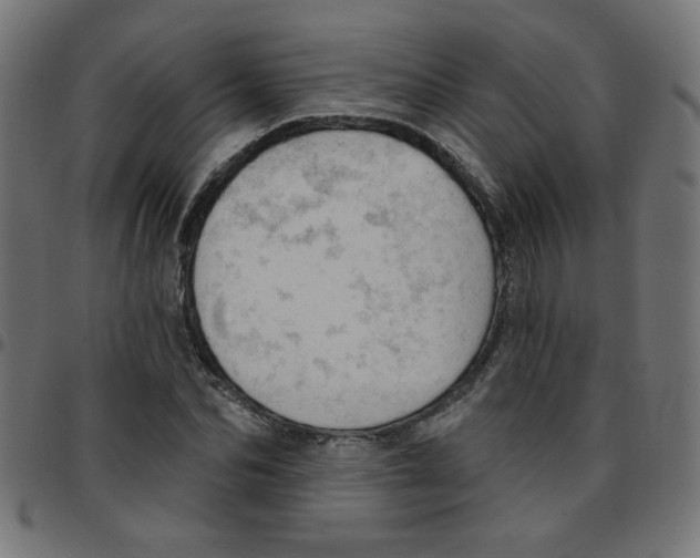 X0000096950974200803071024