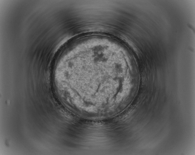 X0000096950975200803071024