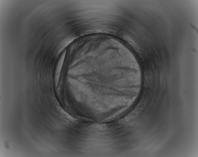 X0000096950977200803071024