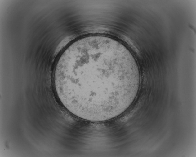 X0000096950978200803071024