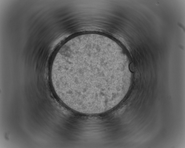 X0000096950979200803071024