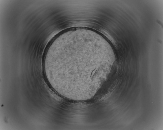 X0000096950980200803071024