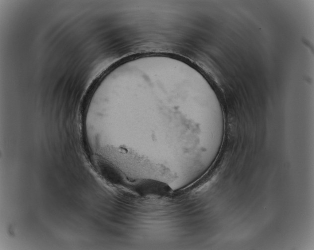 X0000096950981200803071024