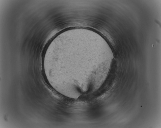 X0000096950982200803071024