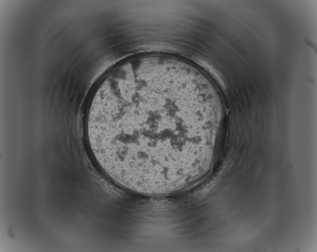 X0000096950983200803071024
