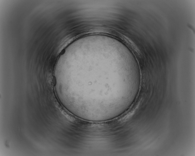 X0000096950985200803071024