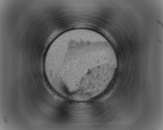 X0000096950986200803071024
