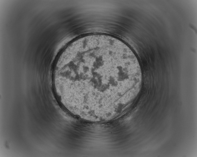 X0000096950987200803071024