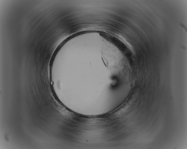 X0000096950988200803071024
