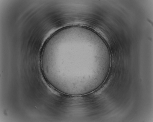 X0000096950989200803071024