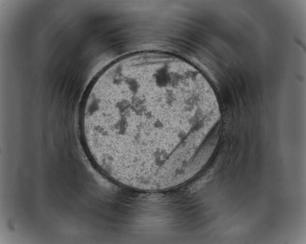 X0000096950991200803071024