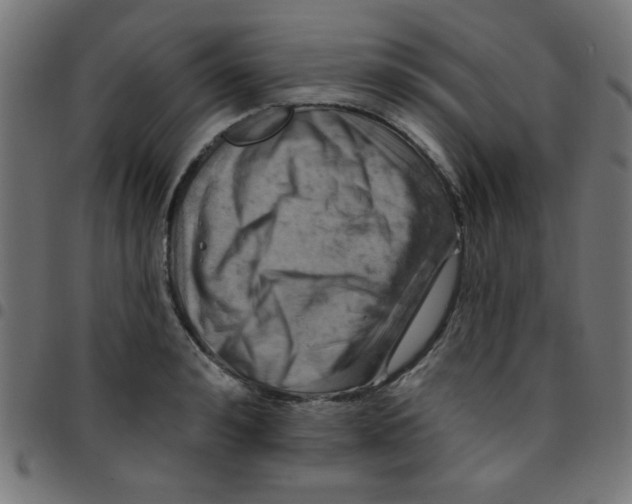 X0000096950992200803071024