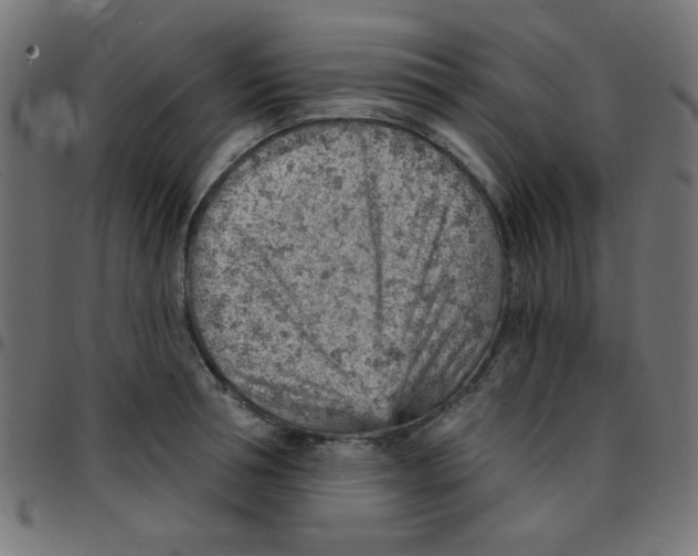 X0000096950994200803071024