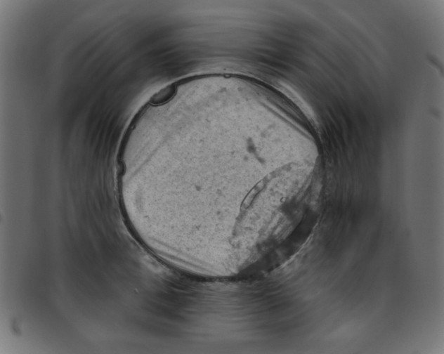 X0000096950996200803071024