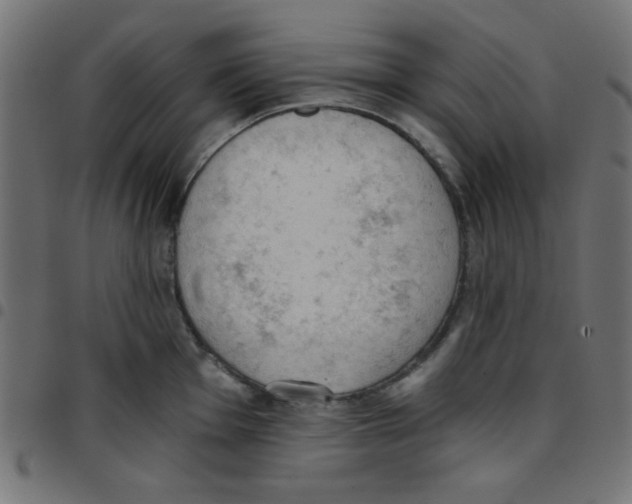 X0000096951001200803071024
