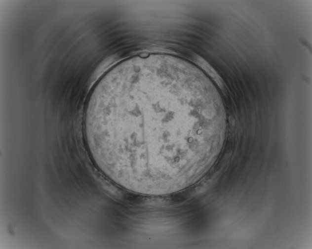 X0000096951002200803071024