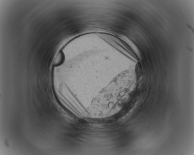 X0000096951004200803071024
