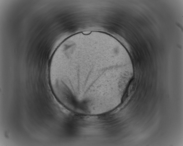 X0000096951006200803071024