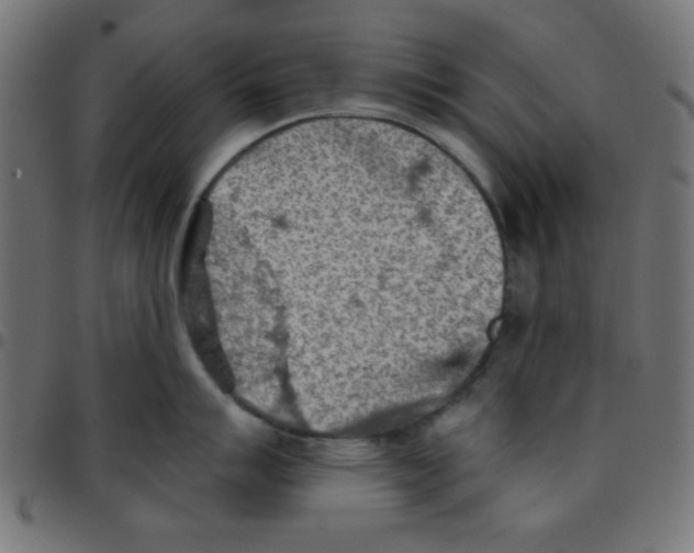 X0000096951007200803071024