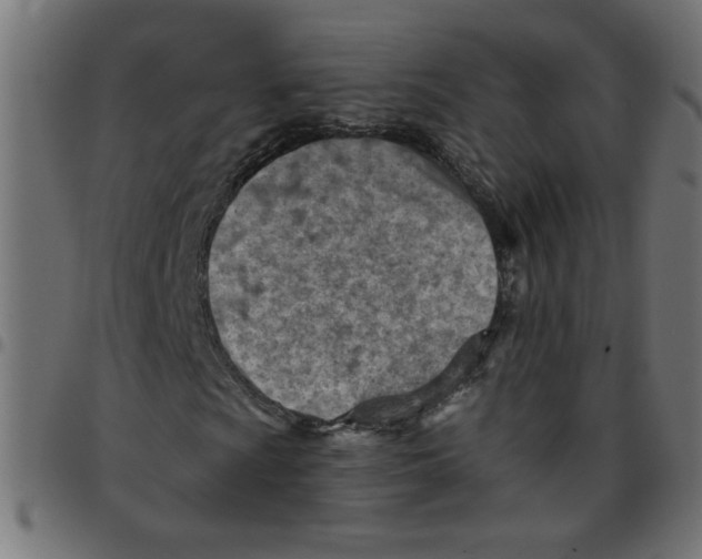 X0000096951009200803071023