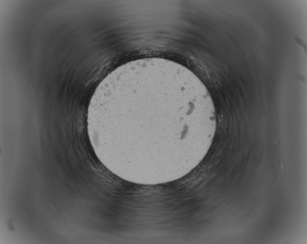 X0000096951012200803071023