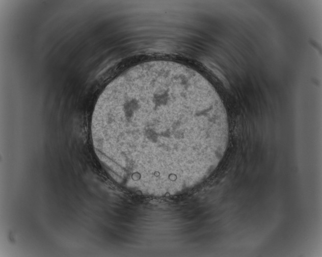 X0000096951015200803071023