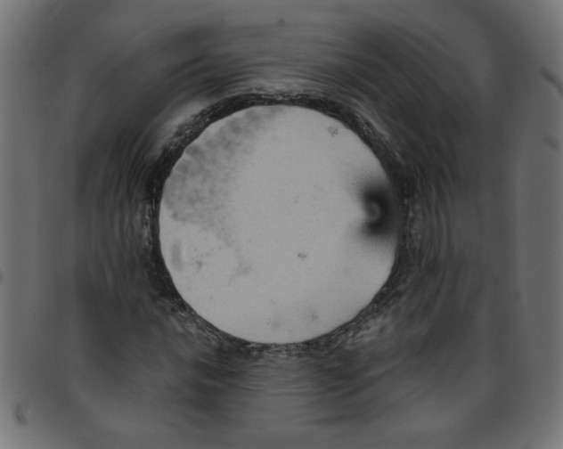 X0000096951016200803071023