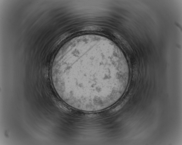 X0000096951017200803071023