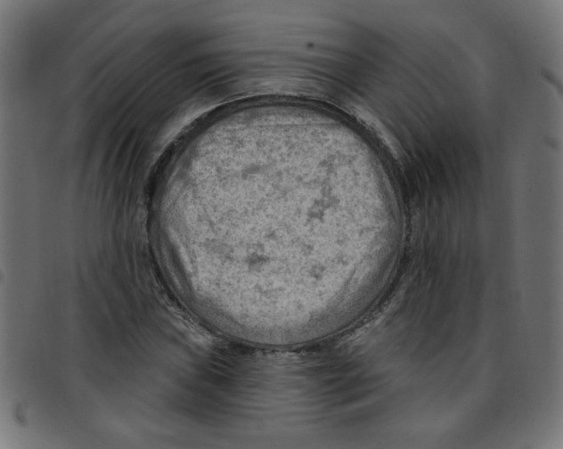 X0000096951019200803071023
