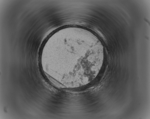 X0000096951020200803071023
