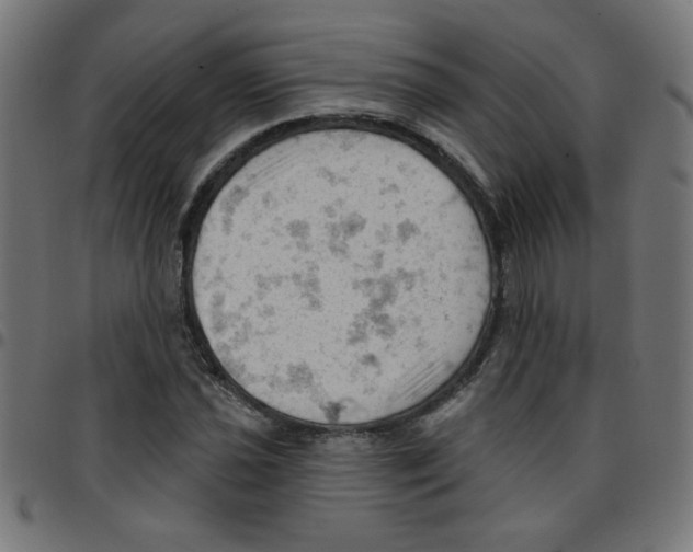 X0000096951021200803071023