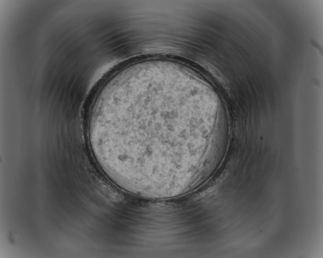 X0000096951022200803071023
