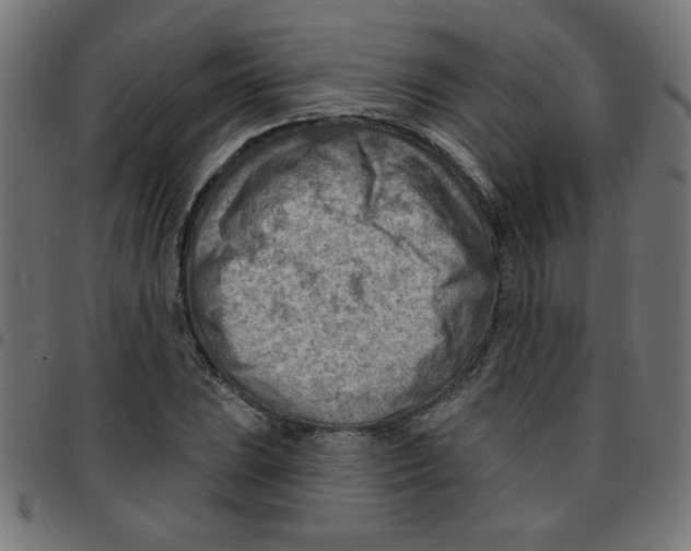 X0000096951023200803071023