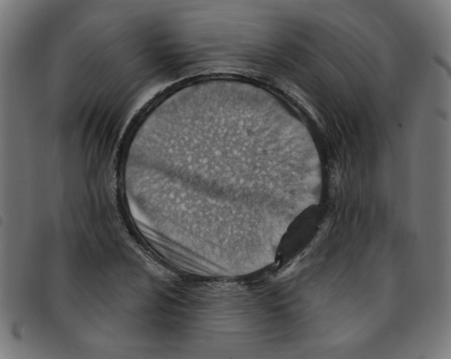 X0000096951024200803071023