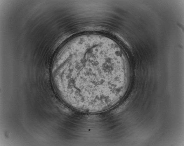 X0000096951025200803071023