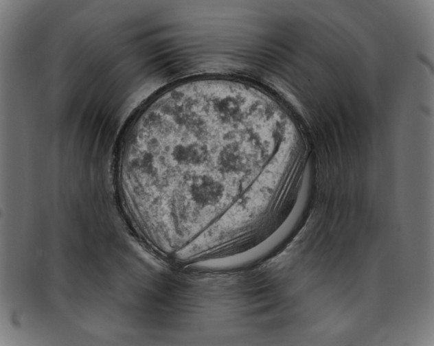 X0000096951026200803071023