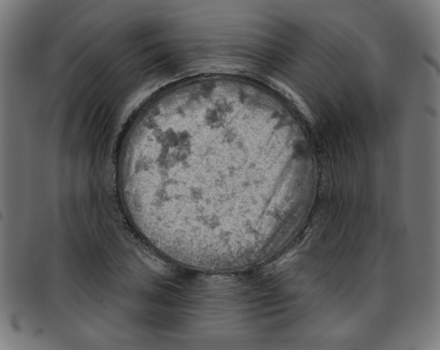 X0000096951027200803071023