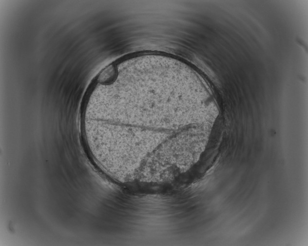X0000096951028200803071023