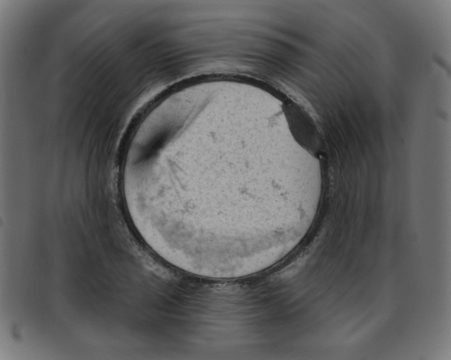 X0000096951029200803071023