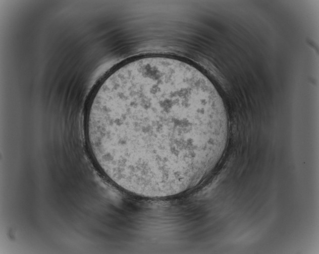 X0000096951030200803071023