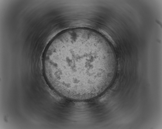 X0000096951031200803071023