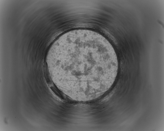 X0000096951033200803071023