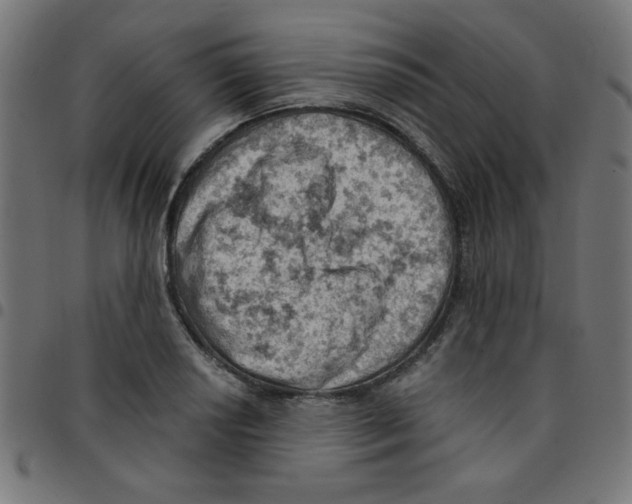 X0000096951034200803071023