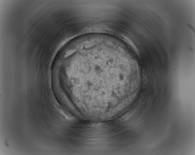 X0000096951035200803071023