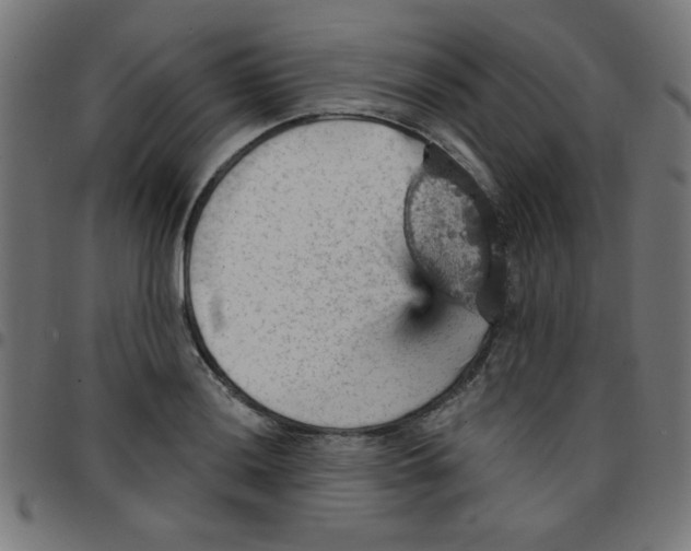 X0000096951036200803071023