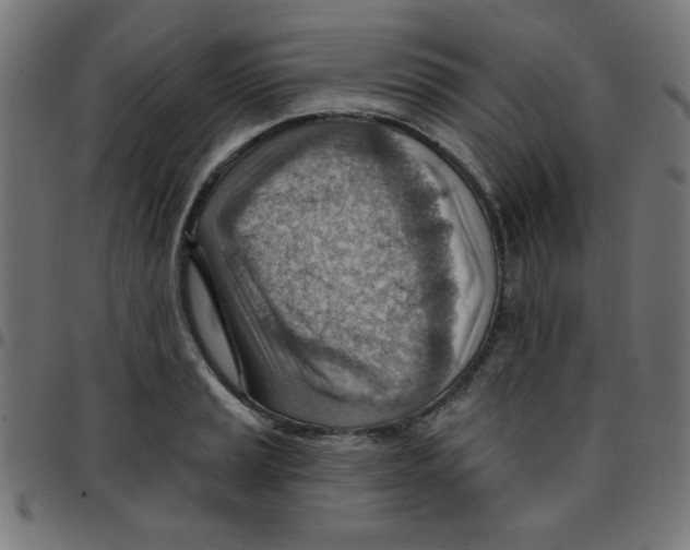 X0000096951037200803071023