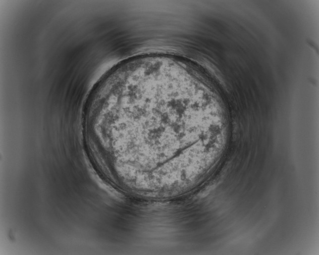 X0000096951038200803071023