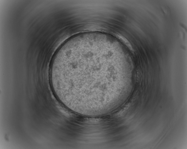 X0000096951039200803071023
