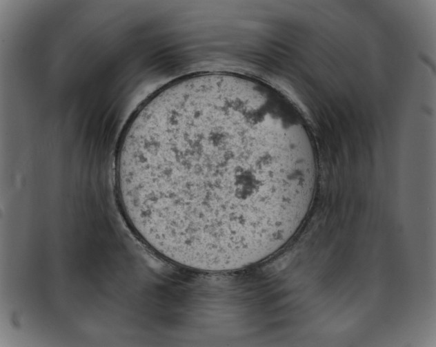 X0000096951040200803071023